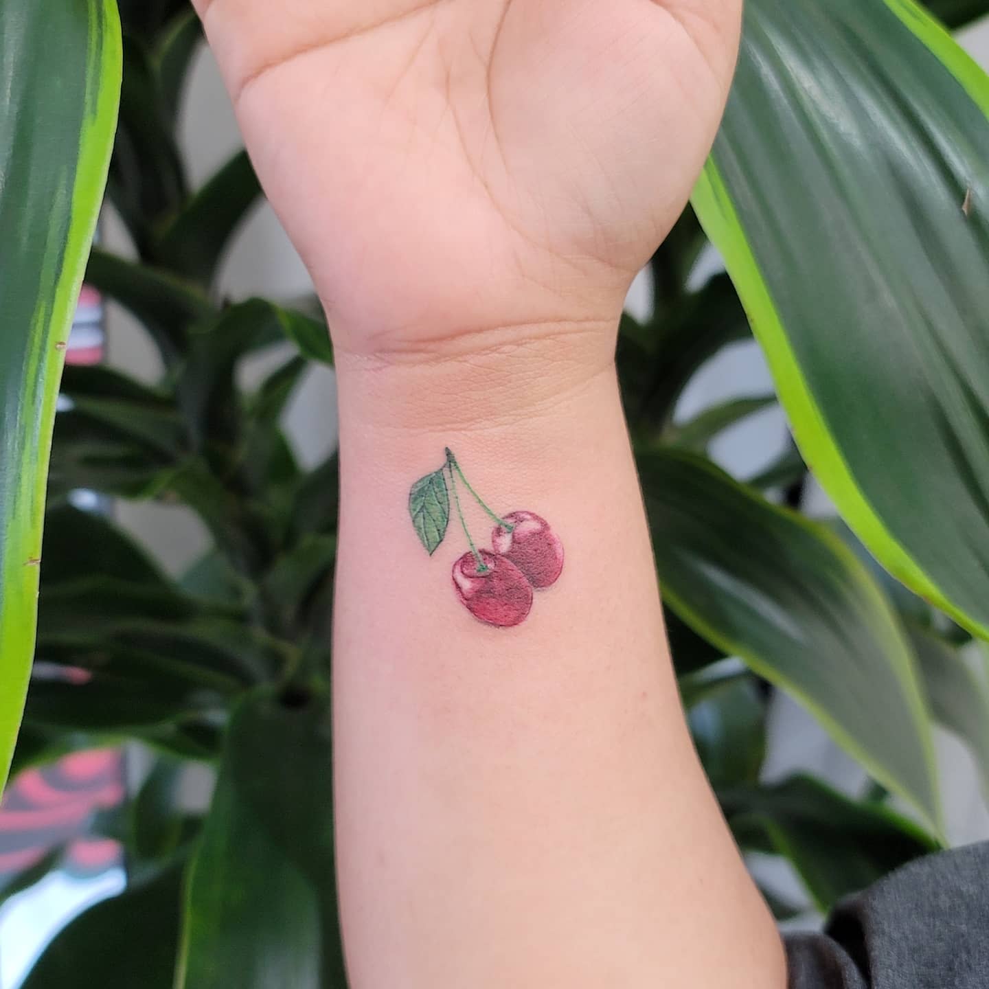 Tattoo of red cherries with green leaves on an inner wrist, surrounded by plants