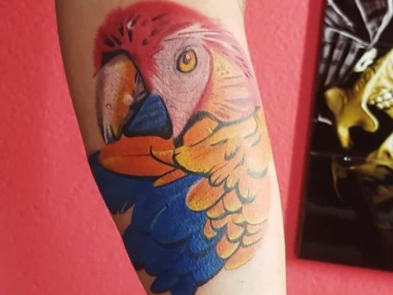 Colored-Small-Bird-Tattoos-balao.tattoo