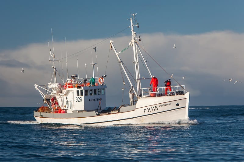Commercial Fisherman - Best Outdoor Jobs For Outdoorsmen