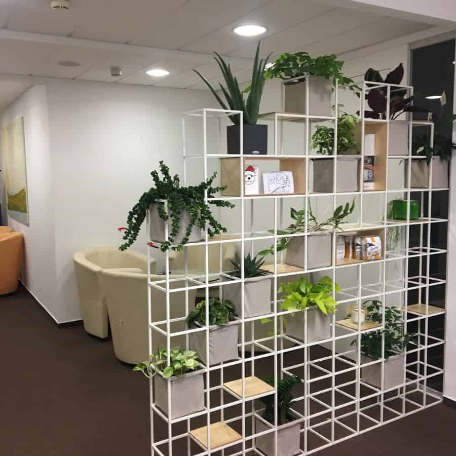 white metal room divider with plants