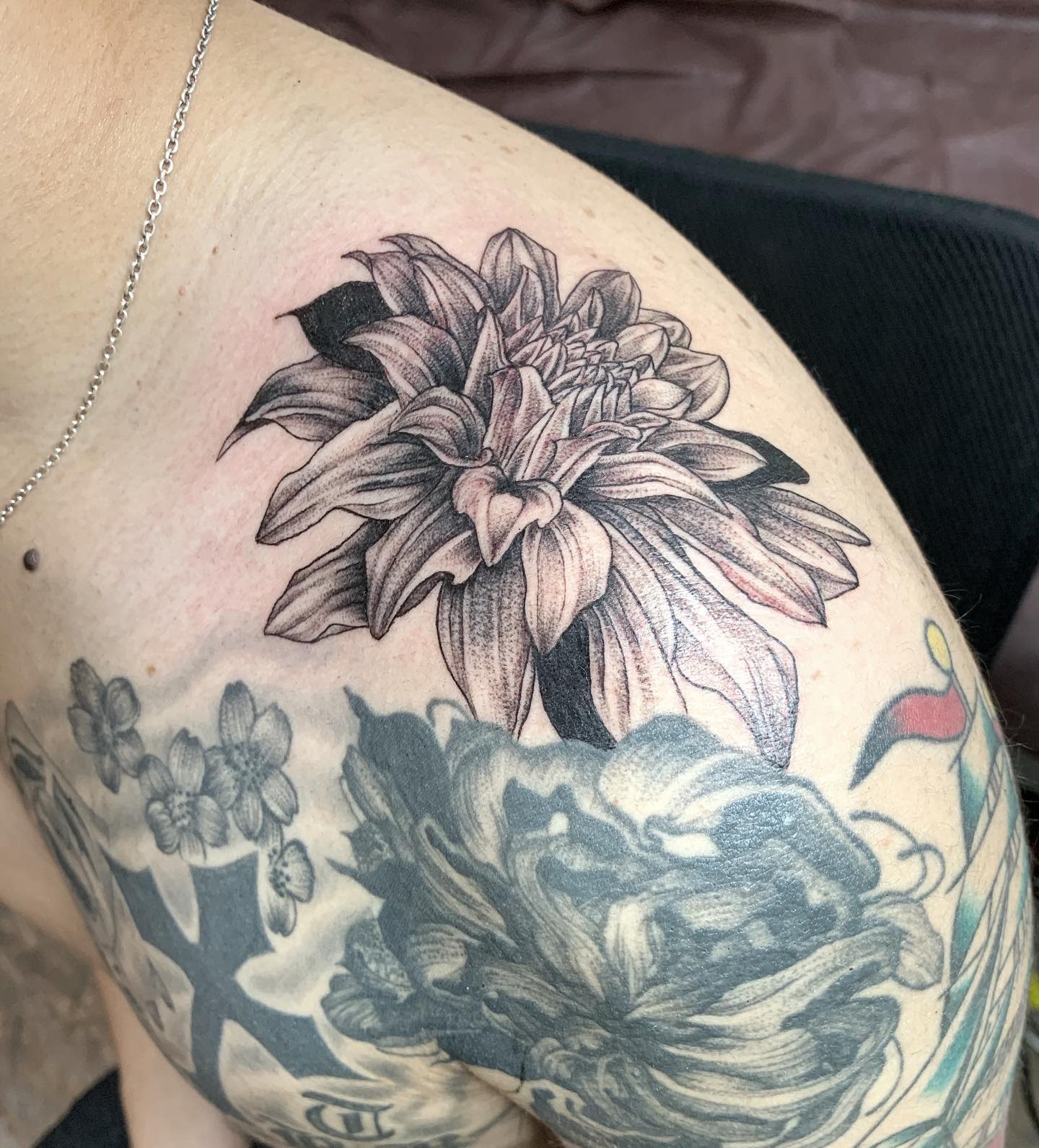 Black and grey dahlia flower tattoo on the shoulder with detailed shading and realistic petals