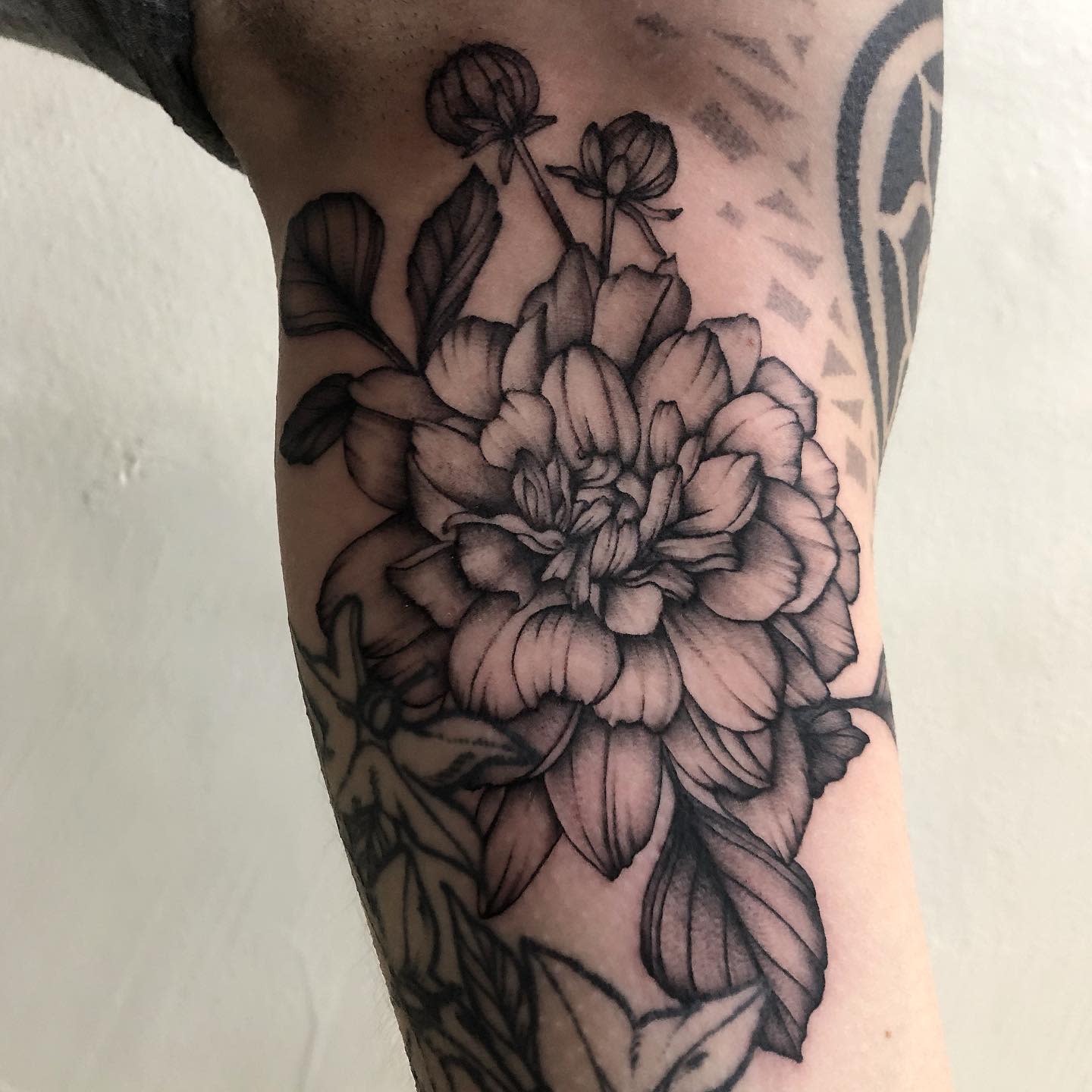 Black and grey dahlia flower tattoo on the inner arm with detailed shading and botanical elements