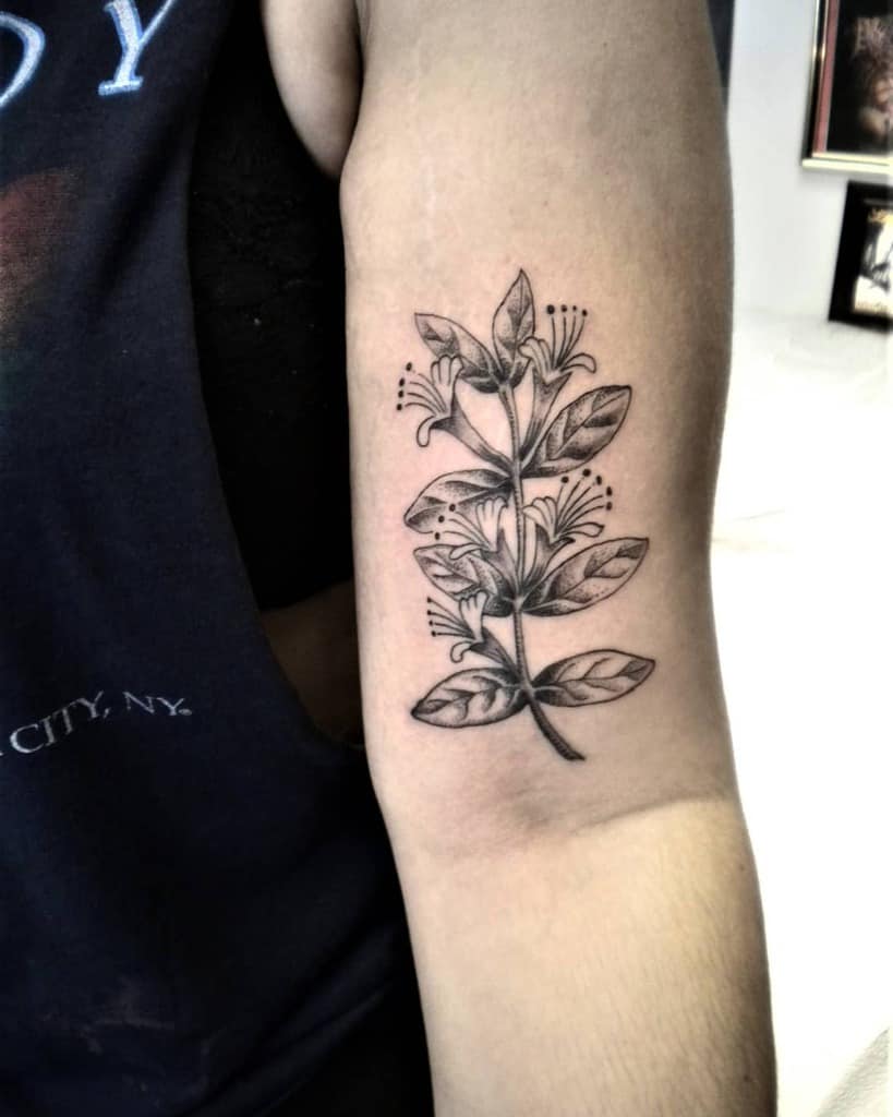 inimalist floral tattoo on the arm, showcasing honeysuckle with fine linework and graceful shading