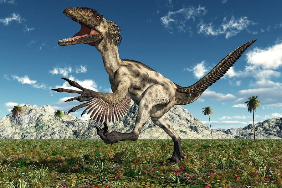 Deinonychus