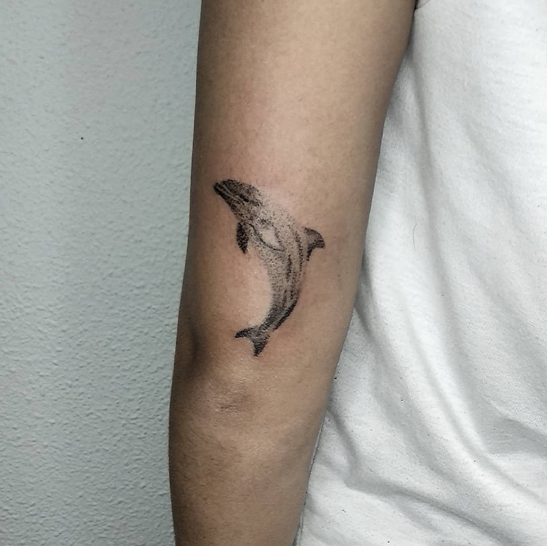 Individual with a black dolphin tattoo on the inner forearm
