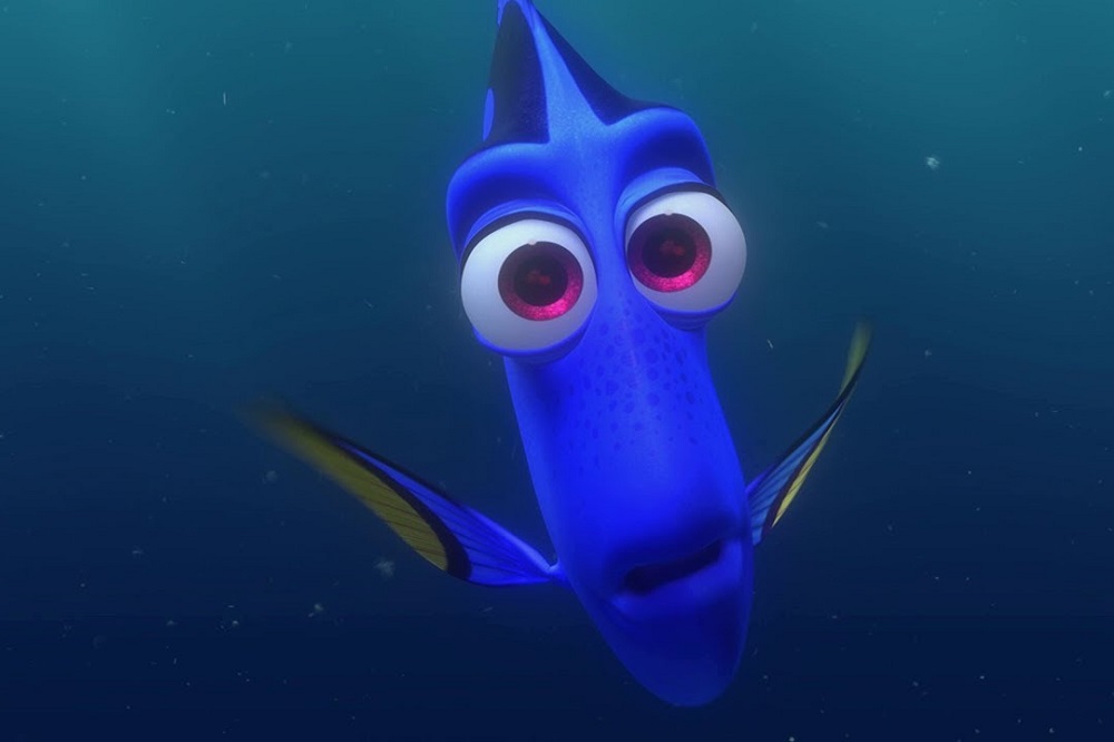 Dory