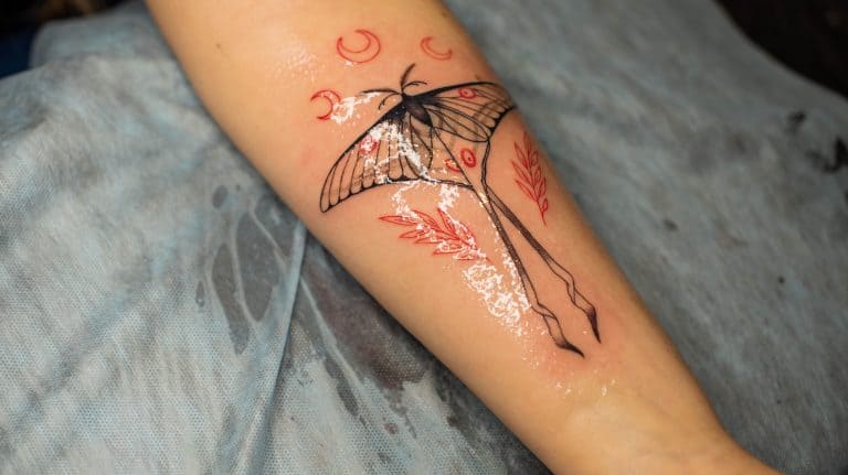 Dragonfly Tattoo Designs