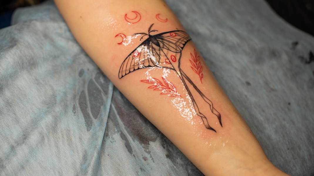 Dragonfly Tattoo Designs