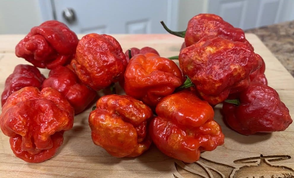 Dragon's Breath Pepper