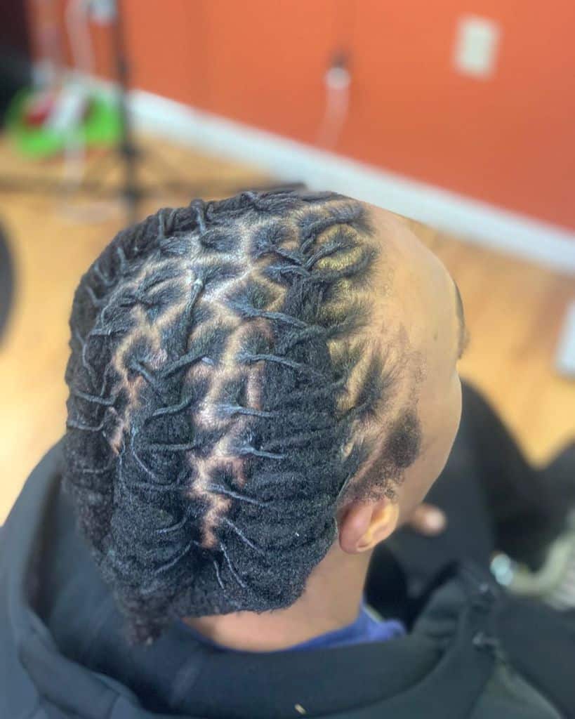 Dreadlock Hairstyle With Four Dreads Partitioning