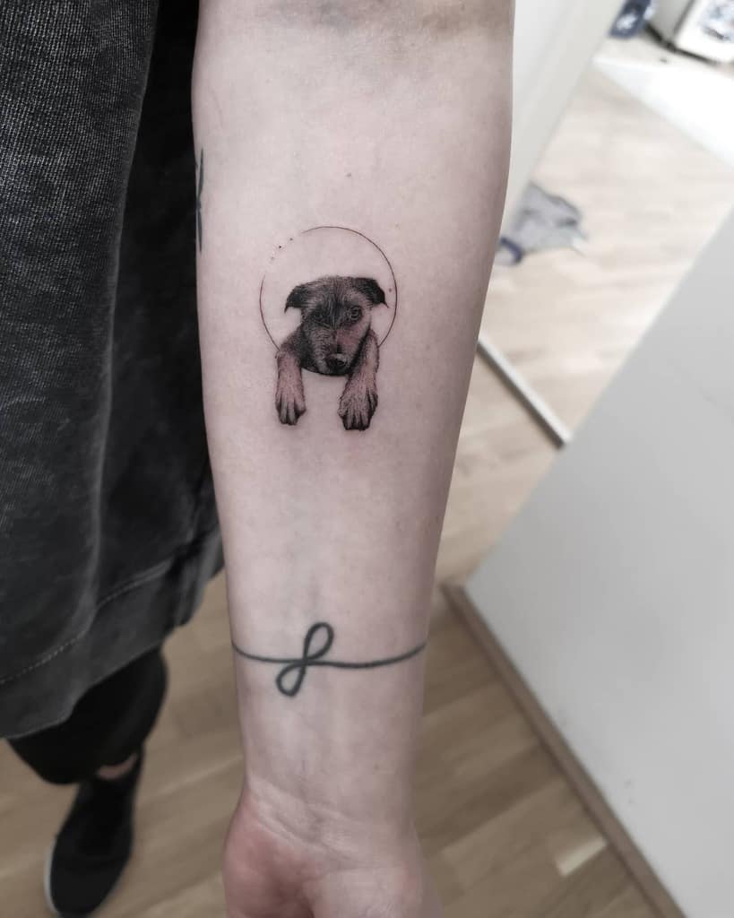 A single needle tattoo of a puppy peeking through a circular hole on a person's forearm, complemented by a delicate line tattoo