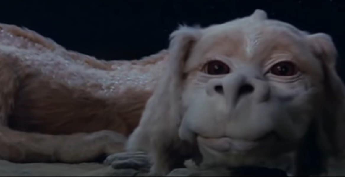 Falkor