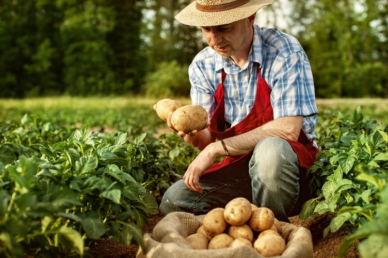 Farmer - Best Outdoor Jobs For Outdoorsmen