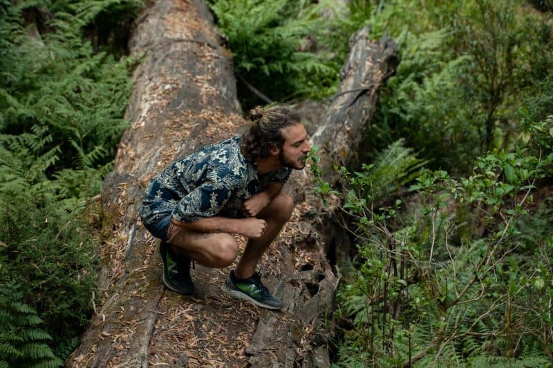 Find-Edible-Plants-Tactics-And-Techniques-To-Master-Wilderness-Survival