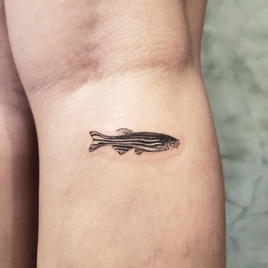 A small fish tattoo on the skin featuring a minimalist design with light shading