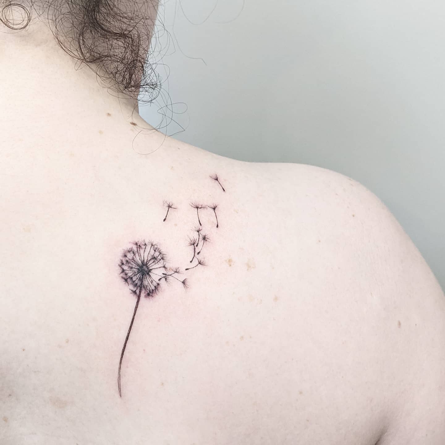 A dandelion tattoo with seeds blowing away on upper back
