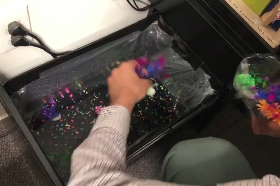 Fish Tank in the Drawer