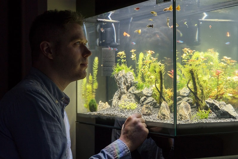Fishkeeping-Hobbies-For-Men