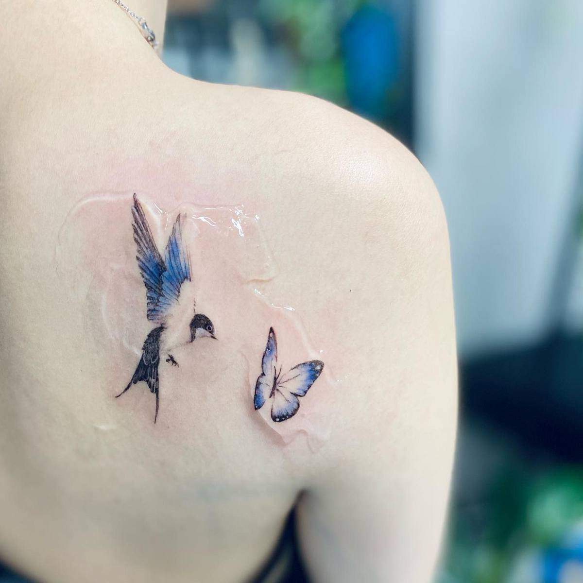 A fresh tattoo of a blue hummingbird and butterfly displayed on an upper back