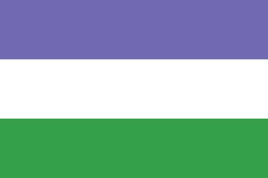Genderqueer Pride Flag