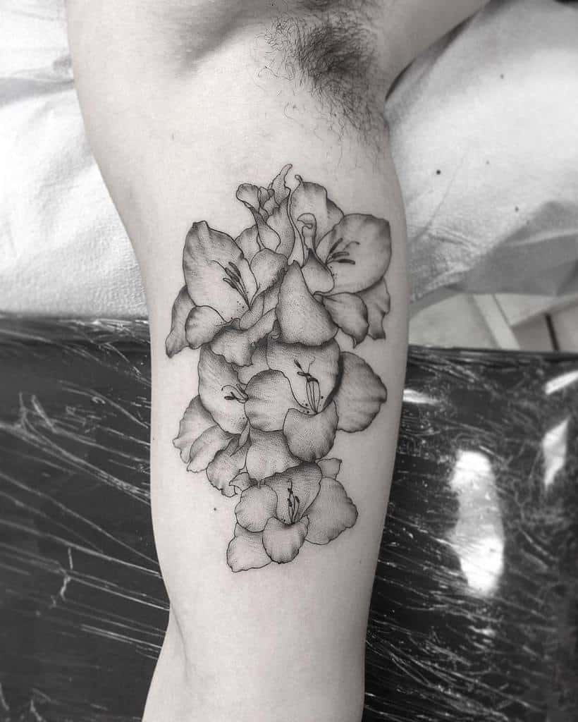 Black and white tattoo of blooming gladiolus flowers on the inner arm
