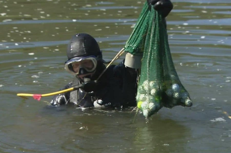 Golf Ball Diver