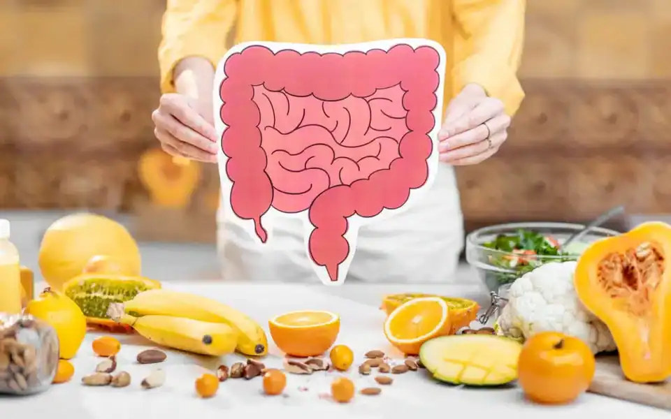 Gut Health
