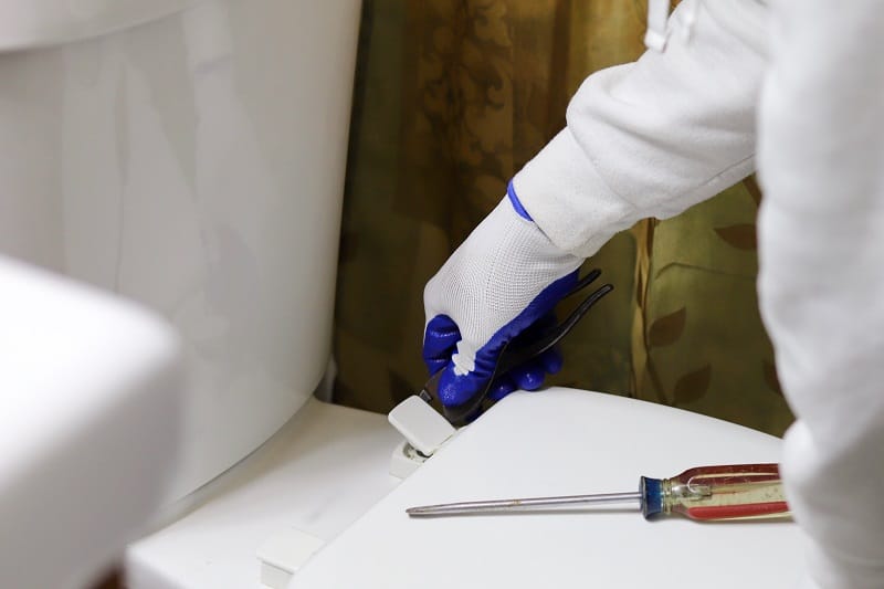 Handyman-Replacing-a-Toilet-Seat