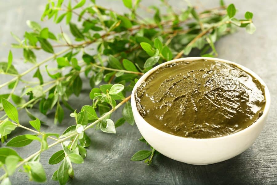 Henna Plant And Henna Paste