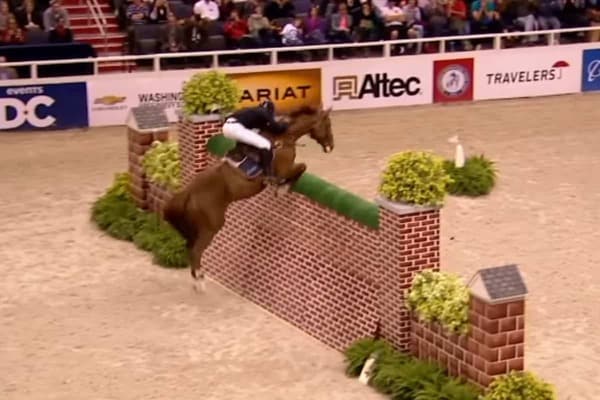 Horse Long Jump