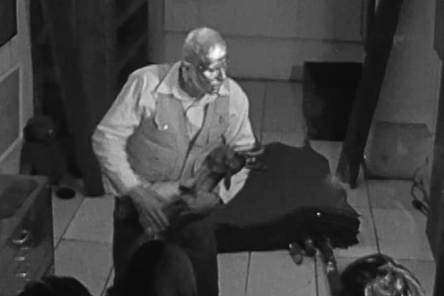 How to Explain Pictures to a Dead Hare (Joseph Beuys)