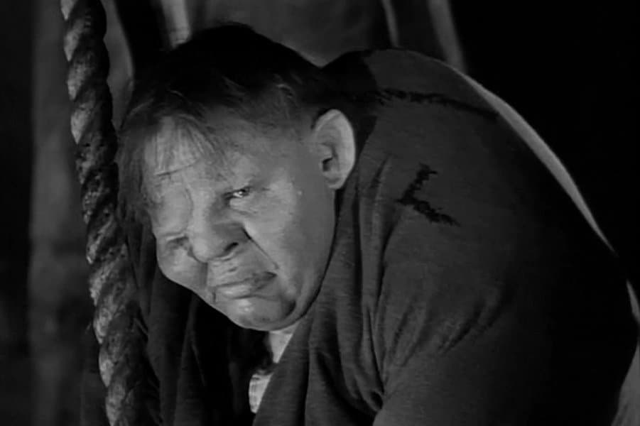 Hunchback of Notre Dame