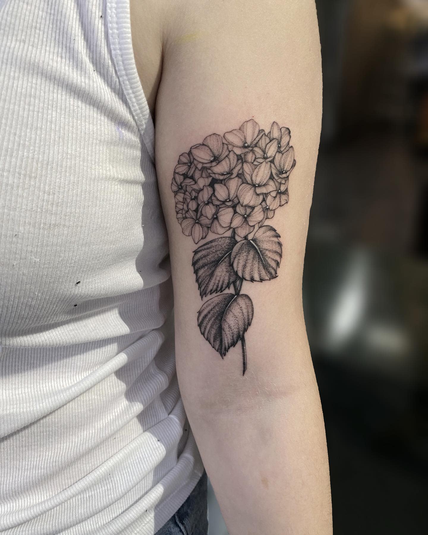 Tattoo of a hydrangea flower on the upper arm