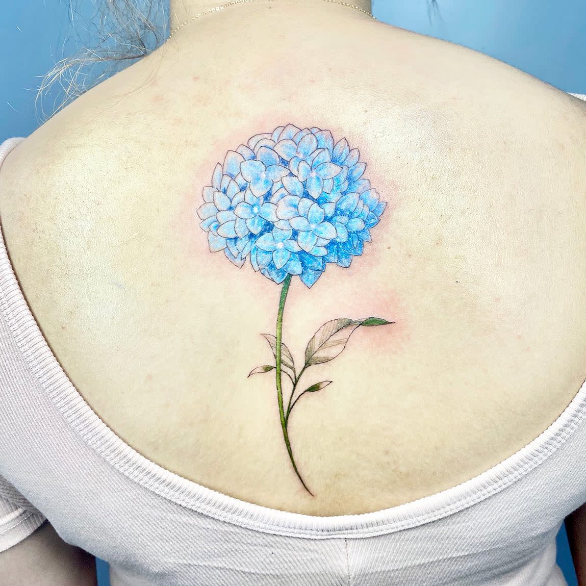 A detailed, blue hydrangea tattoo on an upper back