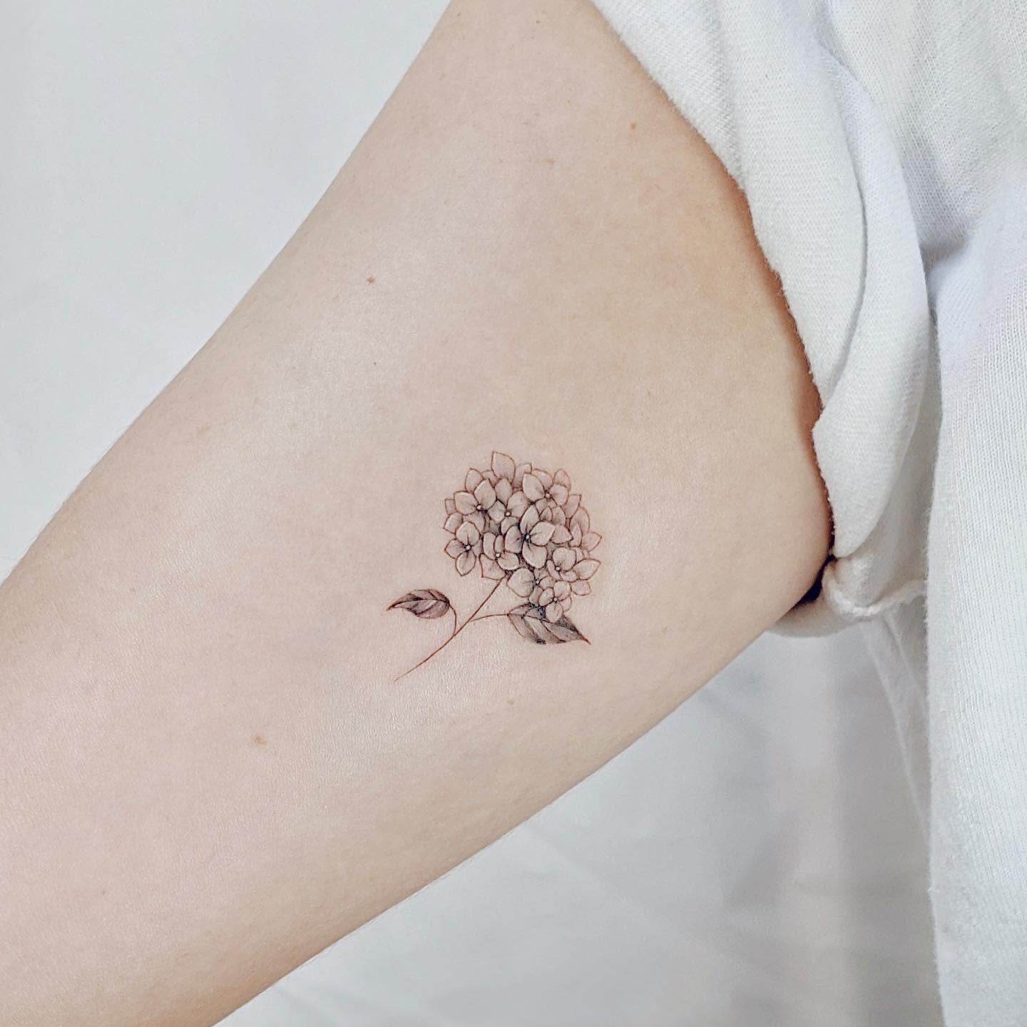 A hydrangea flower tattoo on an inner arm, showing a delicate bloom with green leaves