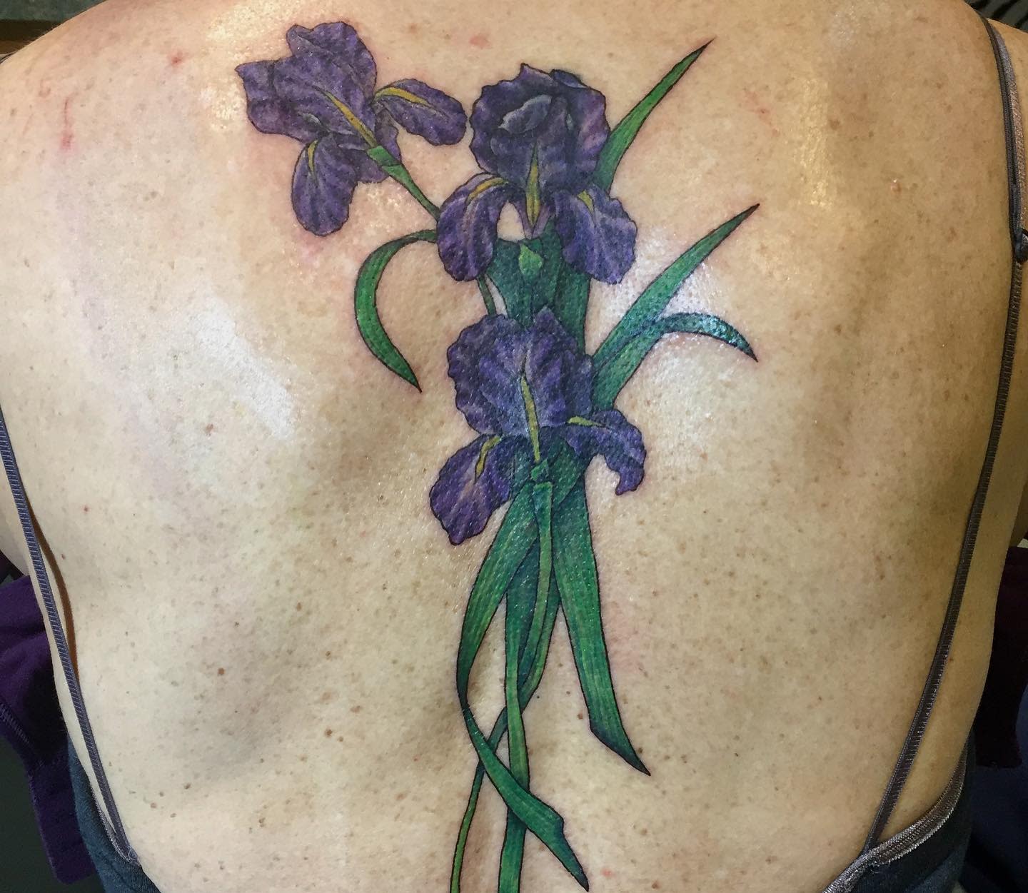 A purple iris flower tattoo with green stems and leaves on an upper back