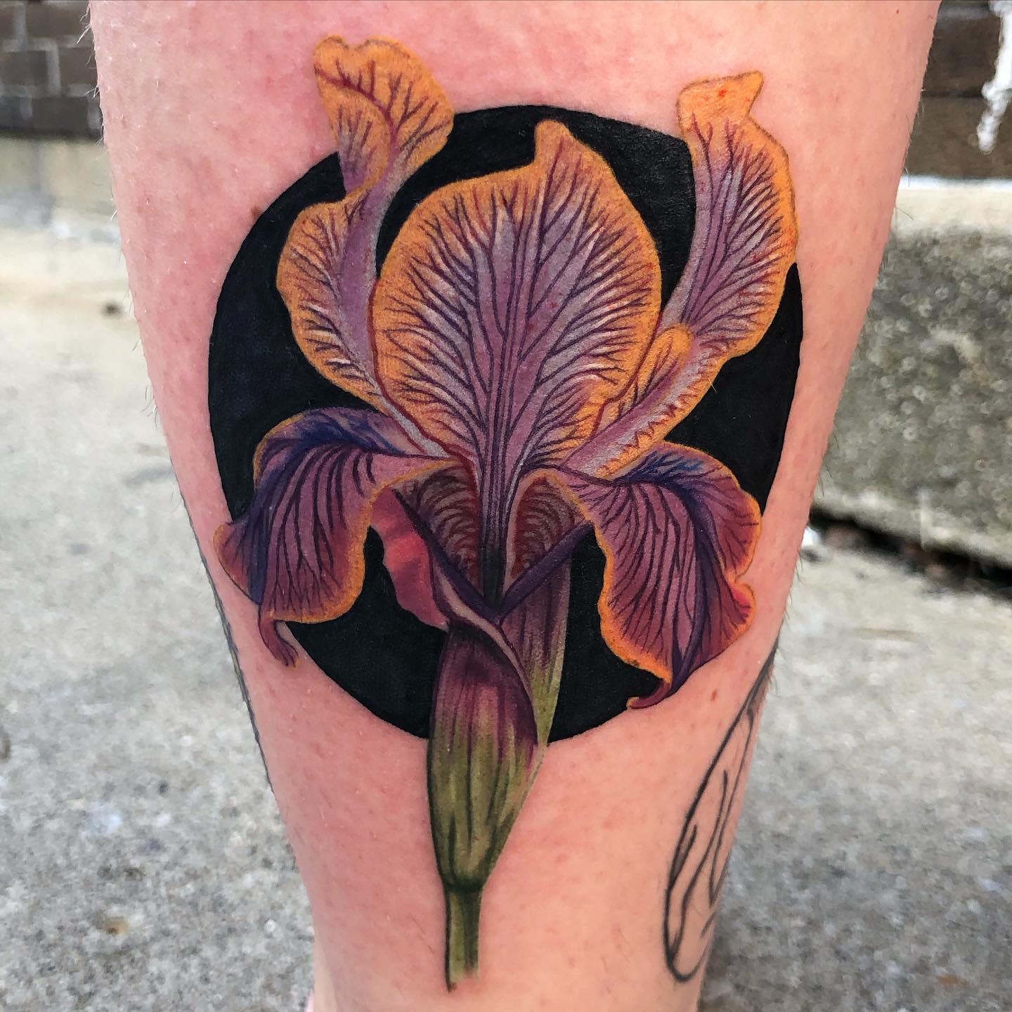A realistic iris tattoo with purple, orange, and green hues on skin