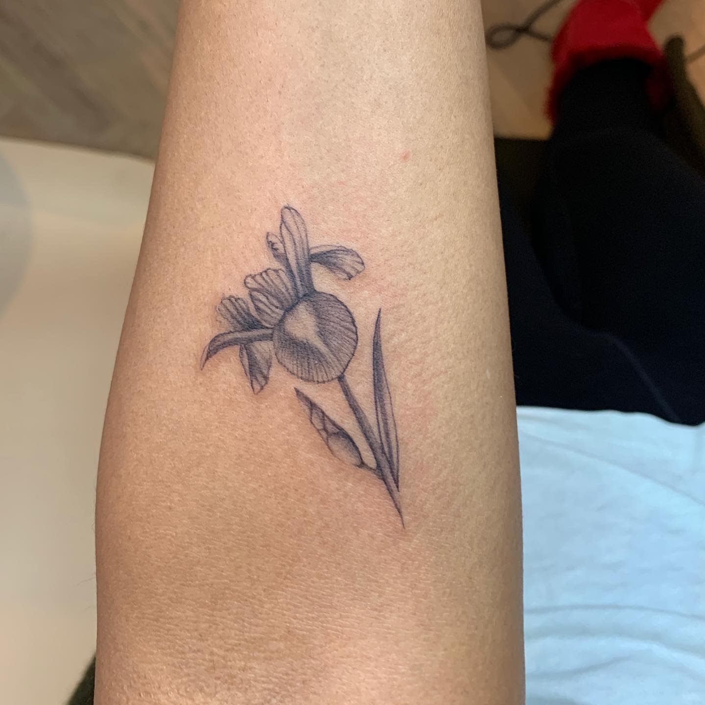 A delicate black-and-grey tattoo of an iris flower on a forearm