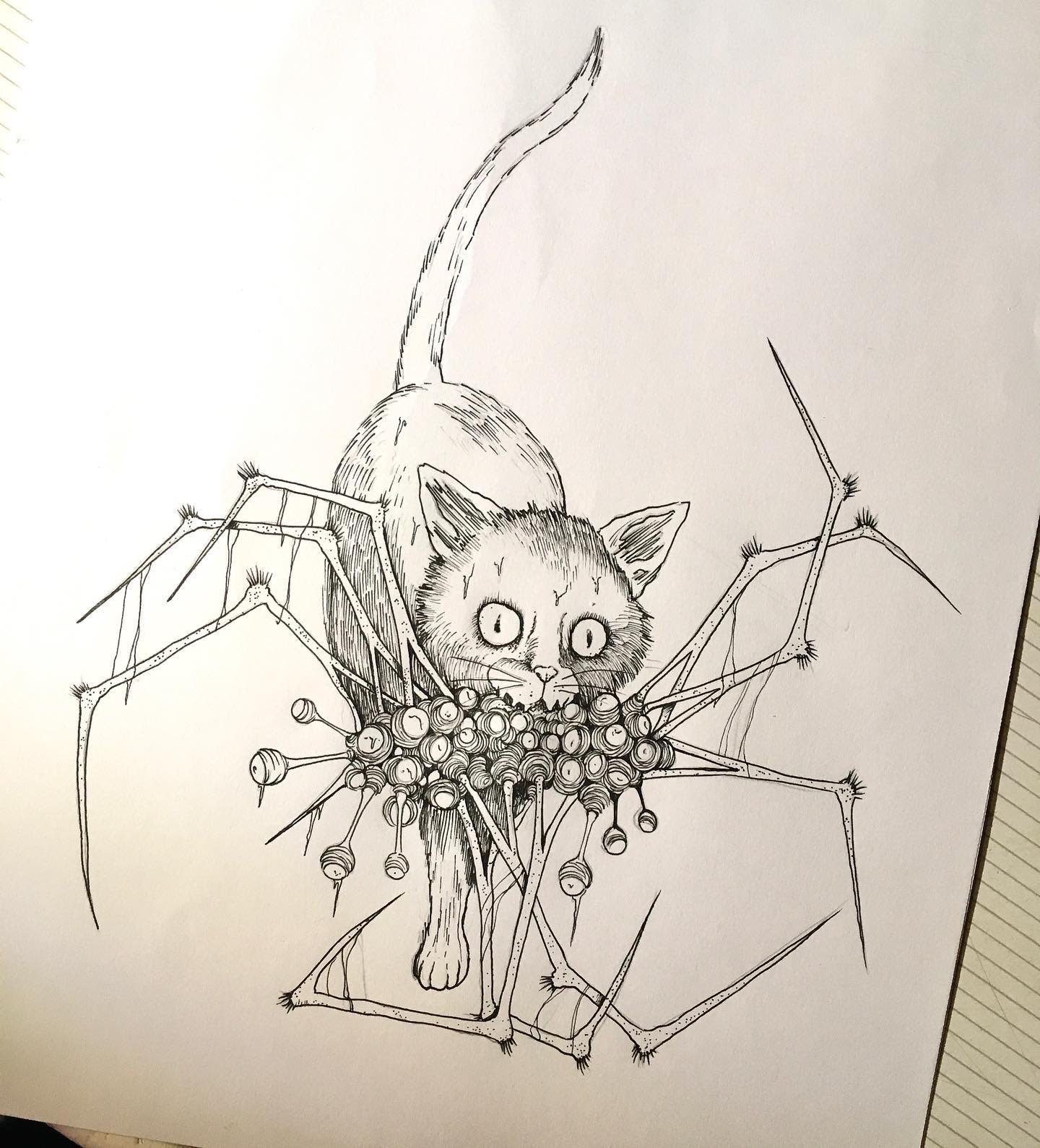 Illustration of a wide-eyed cat entangled with a spider-like creature, inspired by Junji Ito's horror manga