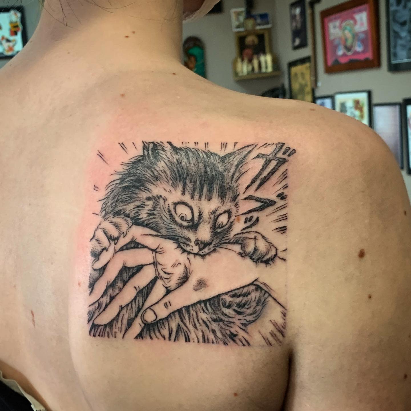 Shoulder tattoo of a wild-eyed cat biting a hand, capturing Junji Ito's unsettling horror style.