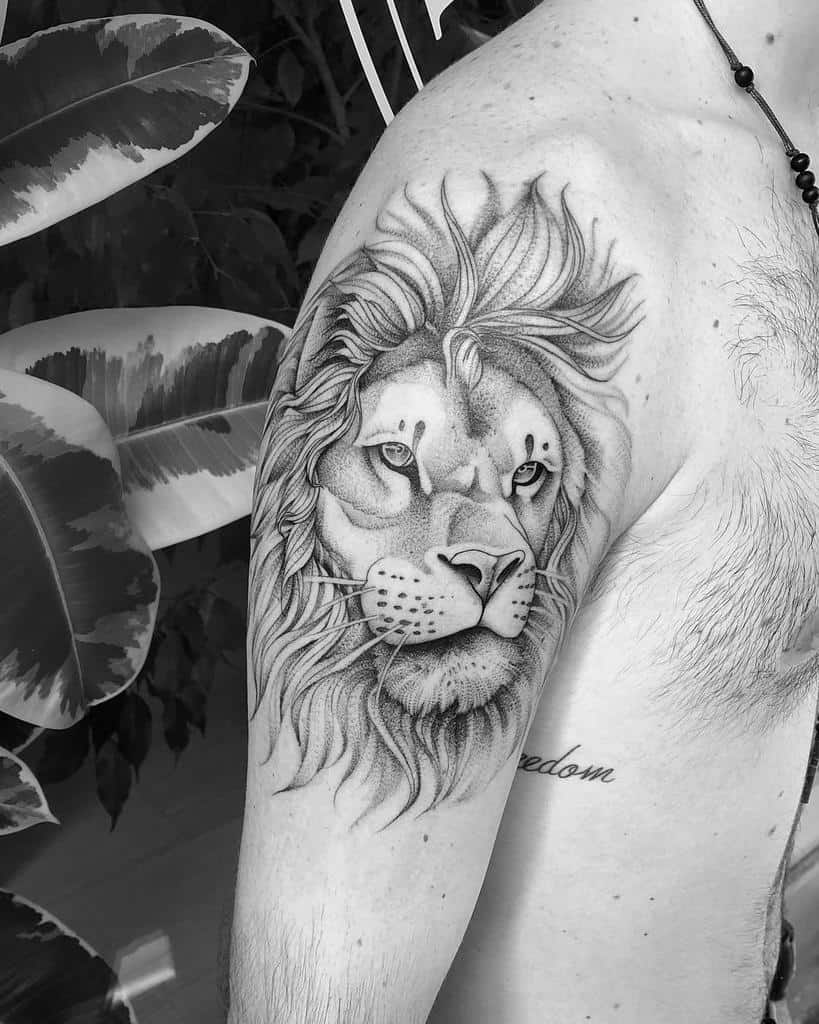 Black and white lion tattoo on a man's upper arm and shoulder