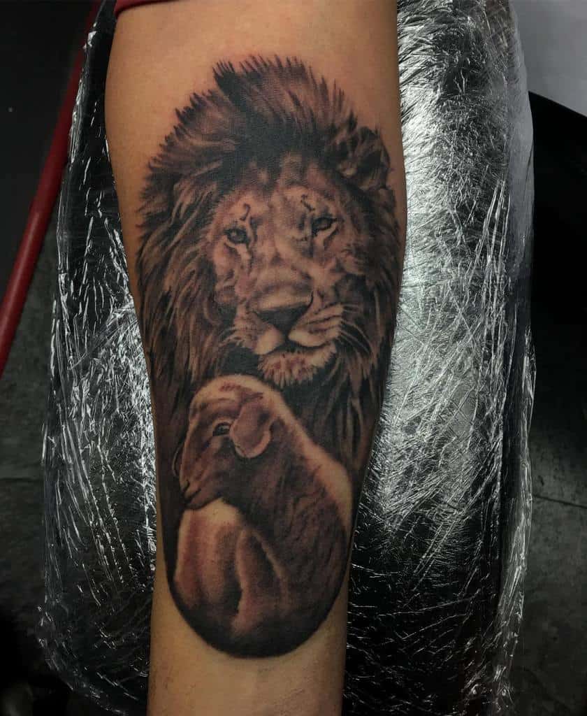 Forearm tattoo of a majestic lion's head towering protectively over a gentle lamb