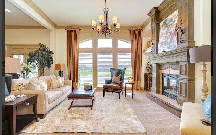 elegant living room with ornate fireplace and sofa