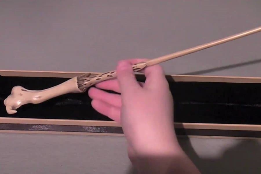 Lord Voldermort's Wand