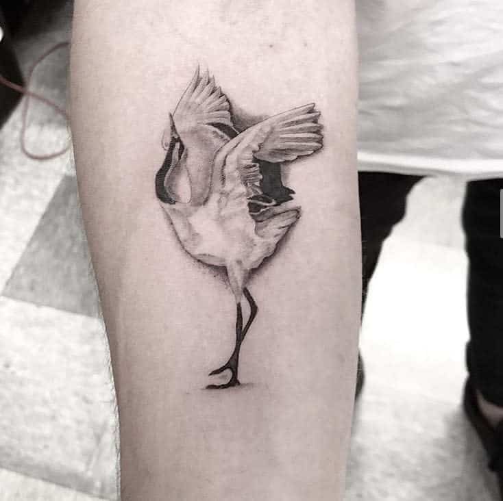Single needle tattoo of a bird in mid-dance with open wings on someone's forearm