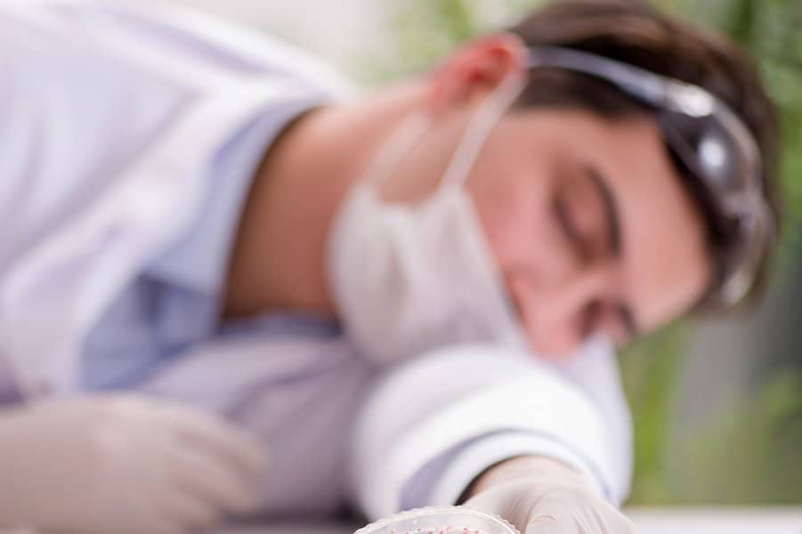 Male doctor working in the lab 