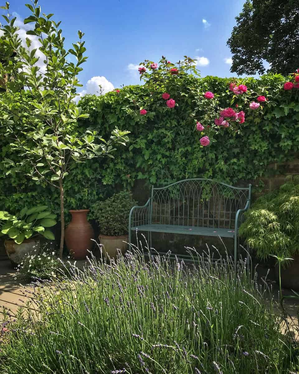 green metal bench small backyard