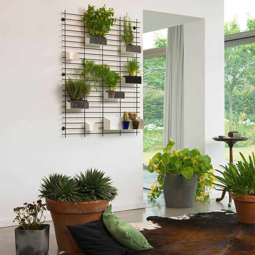 metal shelving in modern home with wall hanging plants