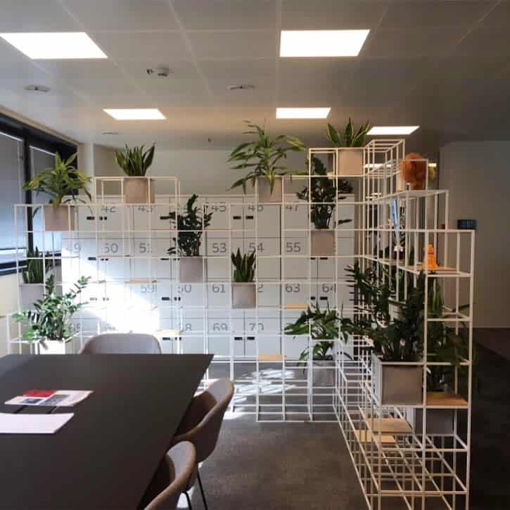 white metal frame shelving holding pot plants