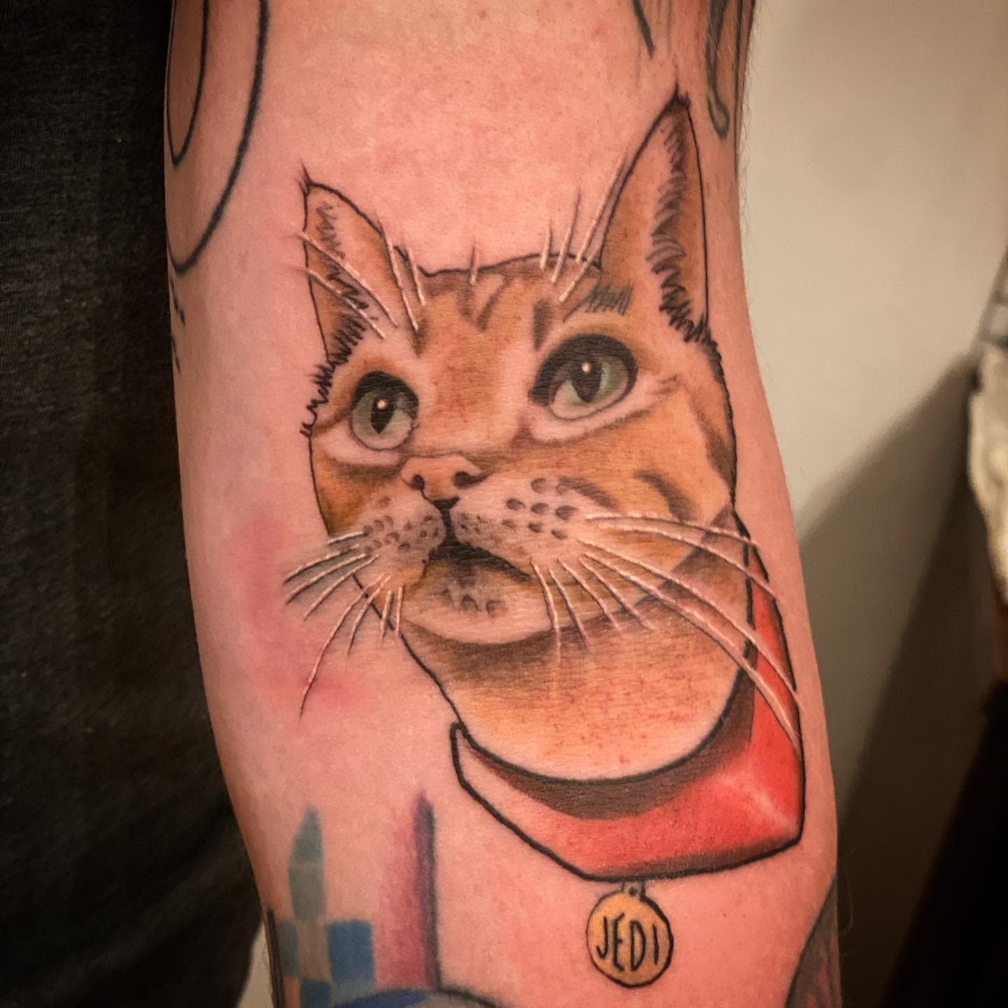 Cat Micro Tattoos -blackbrighttattoo